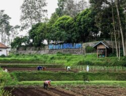 BRI Dianugerahi Penghargaan Hari Desa Nasional 2026 atas Kontribusi Pemberdayaan Ekonomi Desa