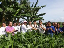 Dari Tanah Berkarang ke Lumbung Pangan: Wakil Gubernur NTT Meninjau Kebun Lapas Kupang
