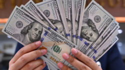 BI Siapkan Pengetatan Pembelian Dolar AS, Batas Baru Direncanakan US$25 Ribu per Bulan 21 bi