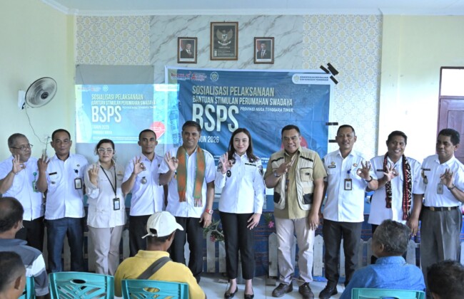 bsps