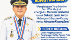 pamong praja