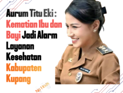 Kematian Ibu dan Bayi Jadi Alarm Layanan Kesehatan Kabupaten Kupang