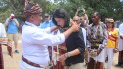 budaya