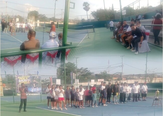 tenis
