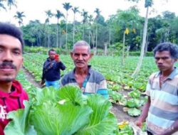 Dari Tanah Kering TTS, Milenial Bangkit Bertani: “Tanpa Petani, Indonesia Lapar”